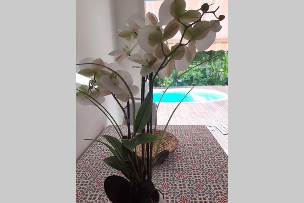Les Orchidees Apartment Petit-Bourg Bagian luar foto
